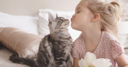 Raising a Cat at Home Protects Your Child from Illnesses