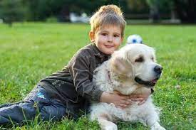 The Importance of Dogs in a Child's Life