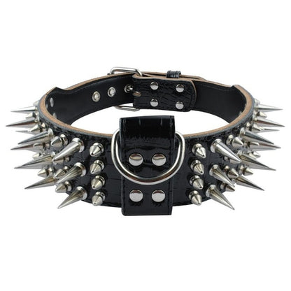 2 inch Wide Genuine Leather Dog Collar Spiked