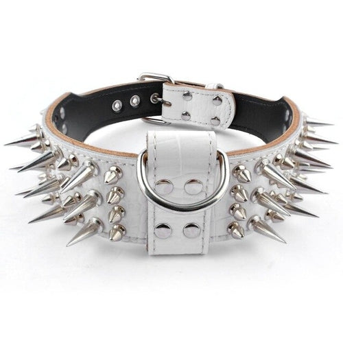 2 inch Wide Genuine Leather Dog Collar Spiked