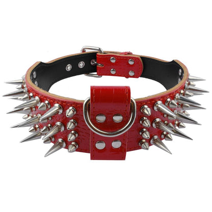 2 inch Wide Genuine Leather Dog Collar Spiked