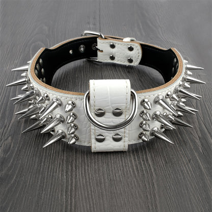 2 inch Wide Genuine Leather Dog Collar Spiked