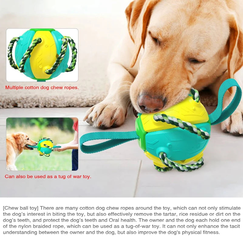 UFO Magic Ball 2In1 Multifunctional Tranining Outdoor Interactive Dog Toys Agility Ball with Chew Ropes Play in Swimming Pool