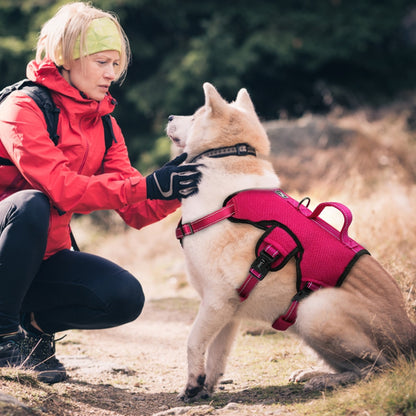 Didog Nylon Mesh Dog Harness Reflective Quick