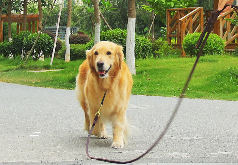 Genuine Leather Dog Leash K9 Dogs Long Leashes