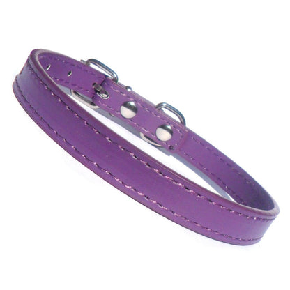 Kensington Plain Dog Collars