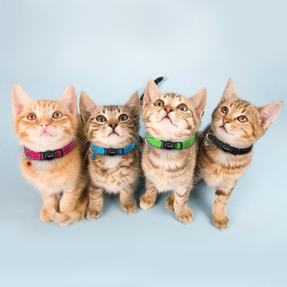 Quick Release Cat Collar Reflective Cat Collars