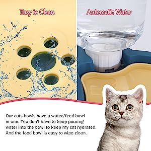 Elevated Tilted Food and Water Bowl Set, Raised Bowl with Automatic